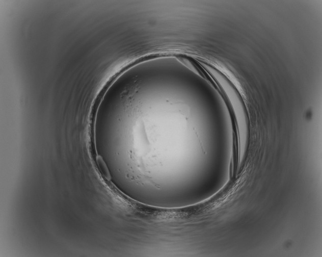 X0000095941093200801181355