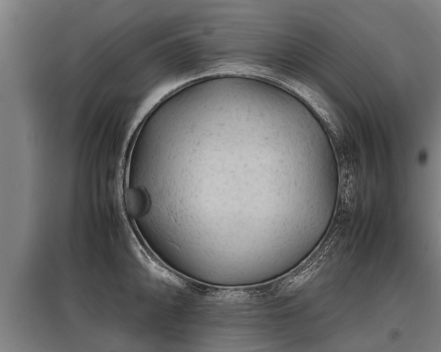 X0000095941094200801181355
