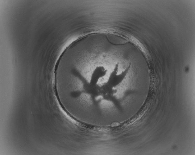 X0000095941095200801181355
