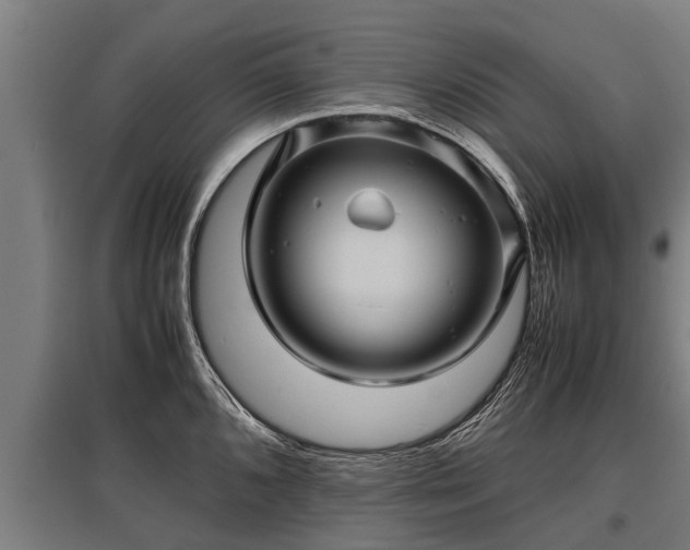 X0000095941096200801181355