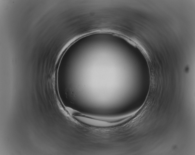 X0000095941100200801181355