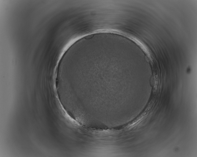 X0000095941102200801181355