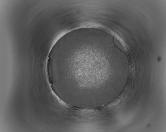 X0000095941103200801181355