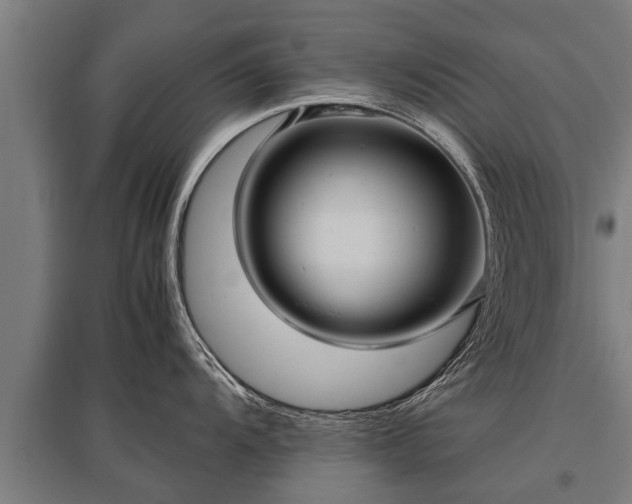 X0000095941104200801181355