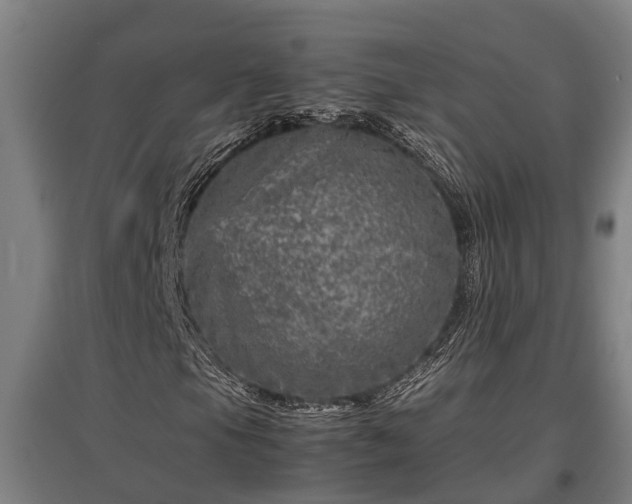 X0000095941105200801181354