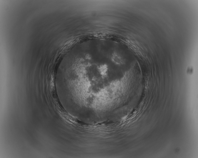 X0000095941106200801181354
