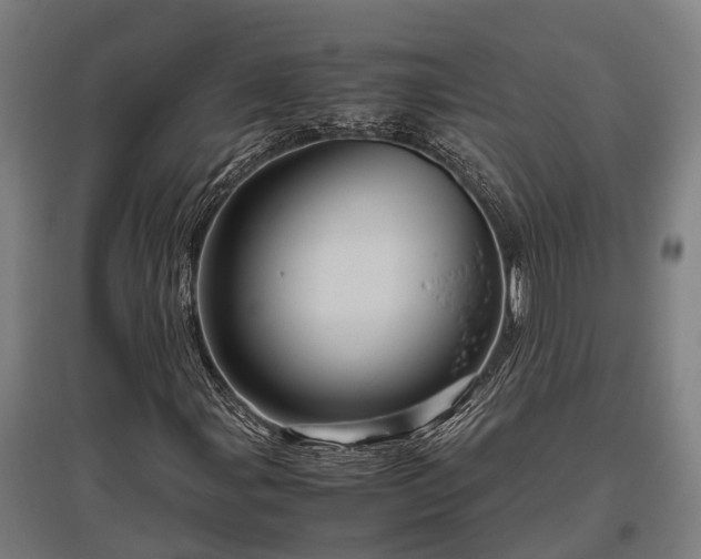 X0000095941107200801181354