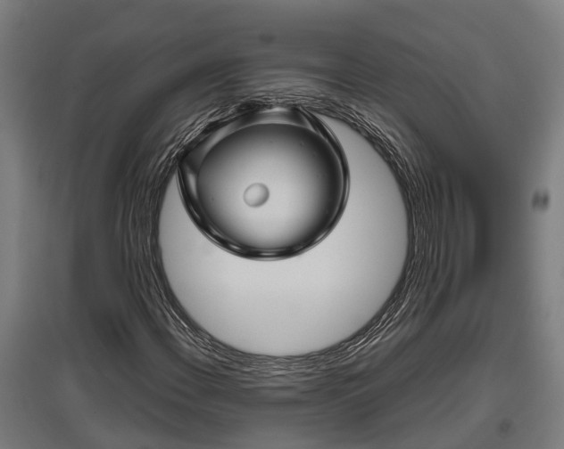 X0000095941108200801181354