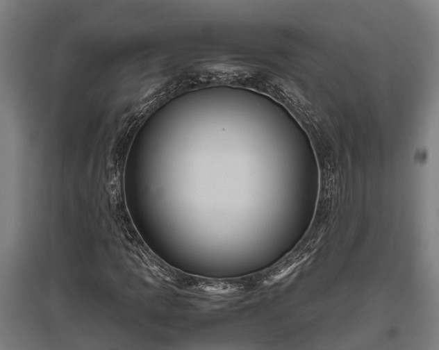 X0000095941109200801181354