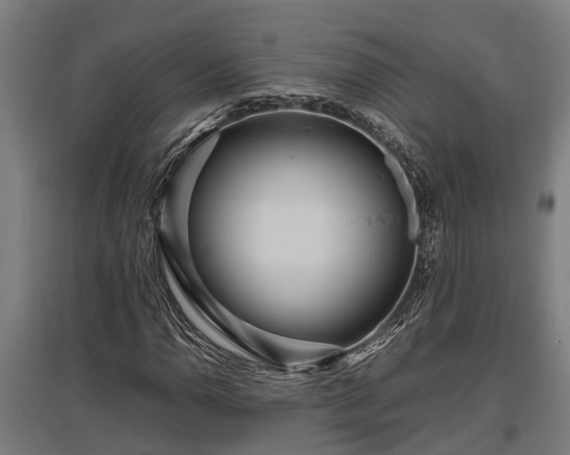 X0000095941110200801181354