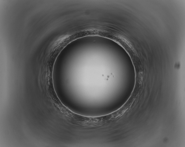 X0000095941111200801181354