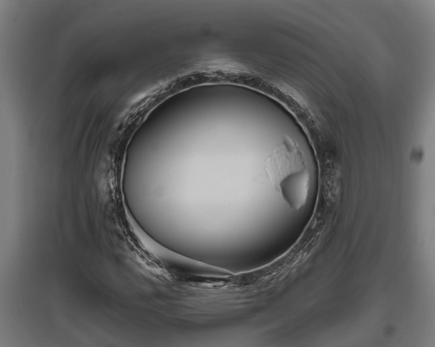 X0000095941112200801181354