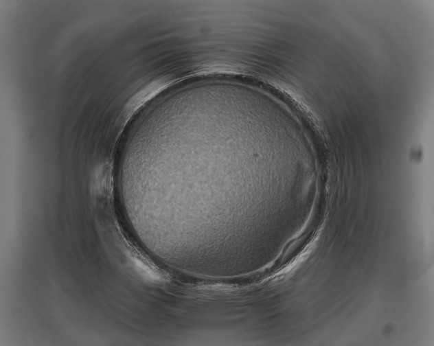 X0000095941113200801181354