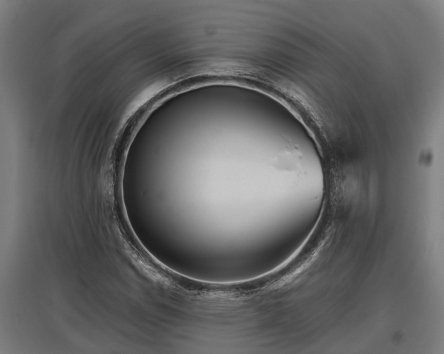 X0000095941114200801181354