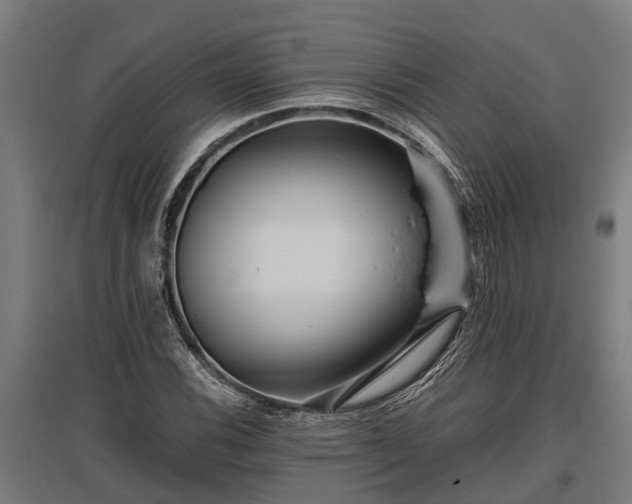 X0000095941116200801181355