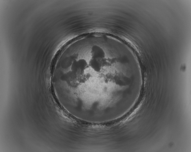 X0000095941117200801181355