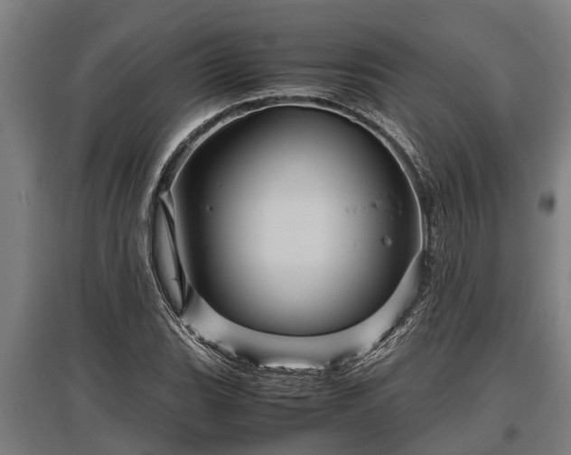 X0000095941119200801181355