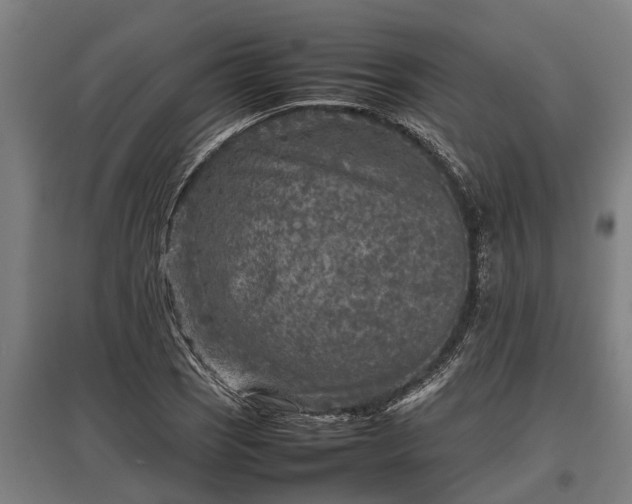 X0000095941121200801181355