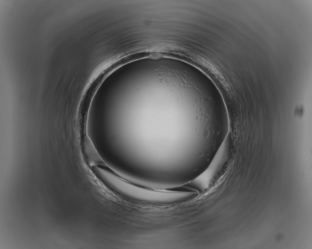 X0000095941122200801181355