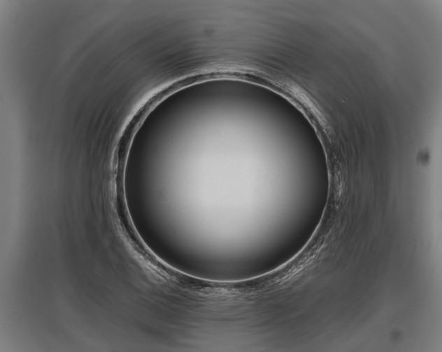 X0000095941124200801181355