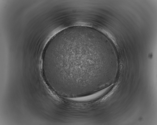 X0000095941125200801181355