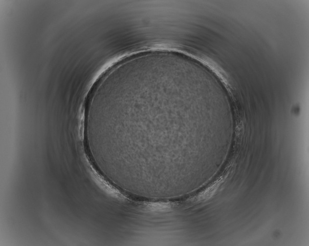 X0000095941126200801181355