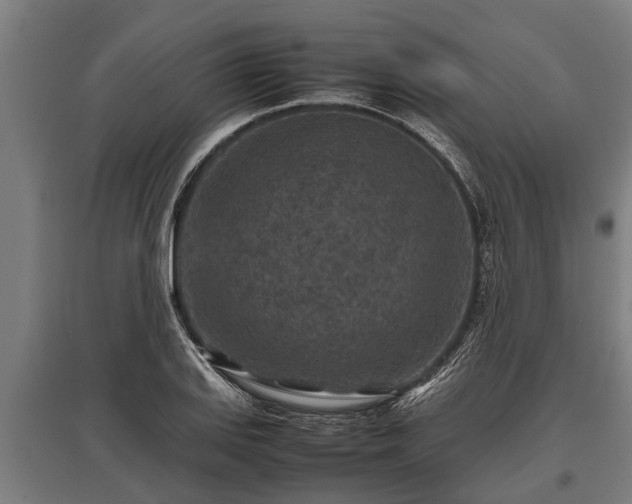 X0000095941127200801181355