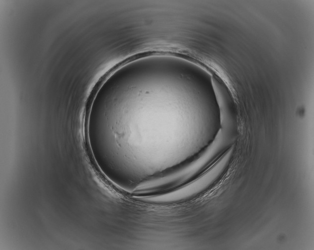 X0000095941128200801181355