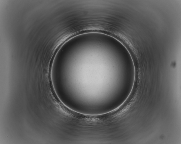 X0000095941129200801181355