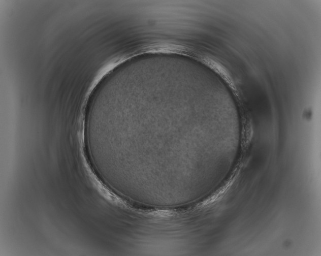 X0000095941130200801181355