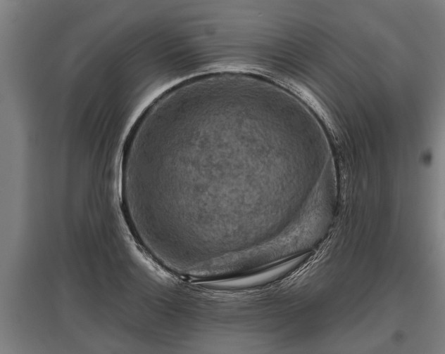 X0000095941132200801181355