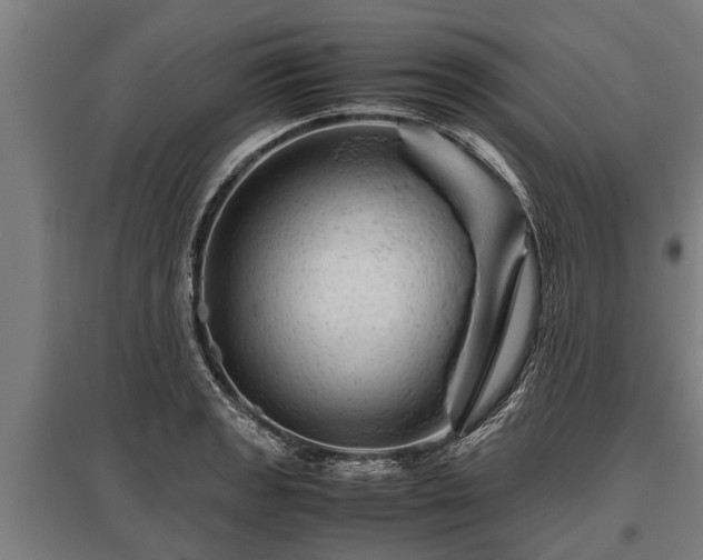 X0000095941133200801181355