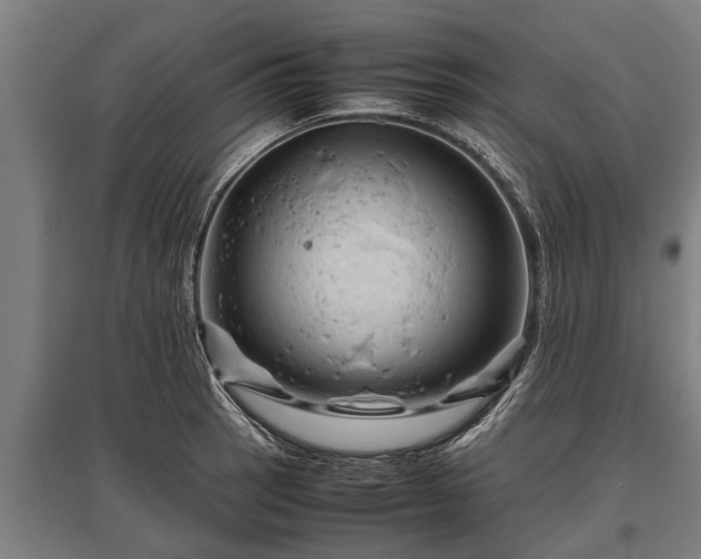 X0000095941137200801181355