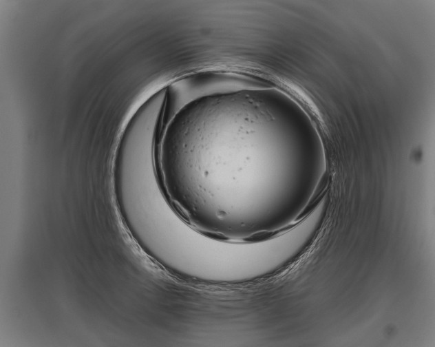 X0000095941138200801181355