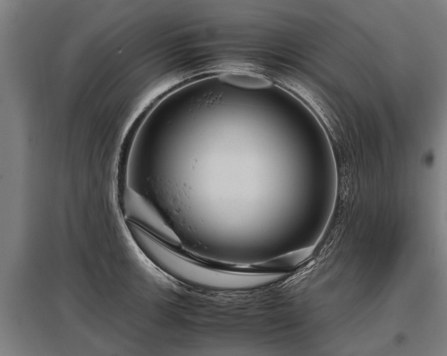 X0000095941139200801181355