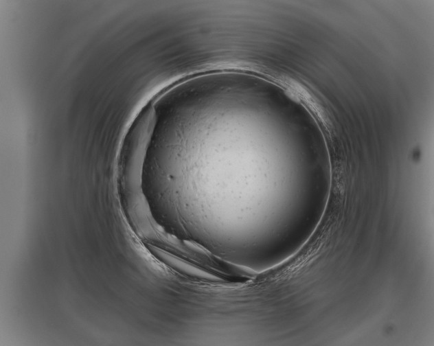 X0000095941140200801181355