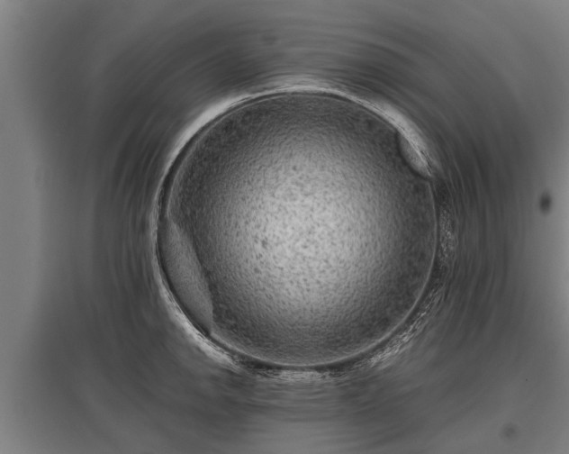 X0000095941142200801181355