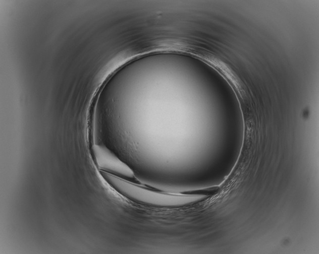 X0000095941143200801181355