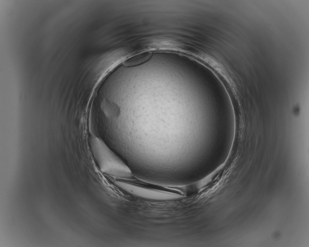 X0000095941145200801181355