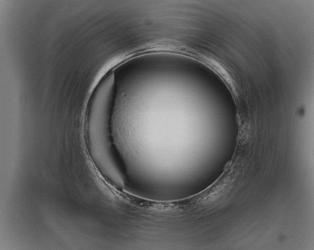 X0000095941146200801181355