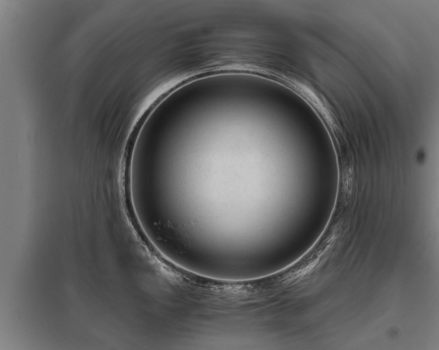 X0000095941149200801181355