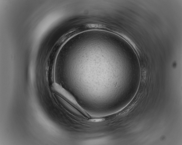 X0000095941151200801181355