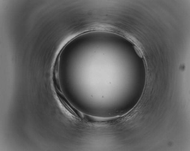X0000095941152200801181355