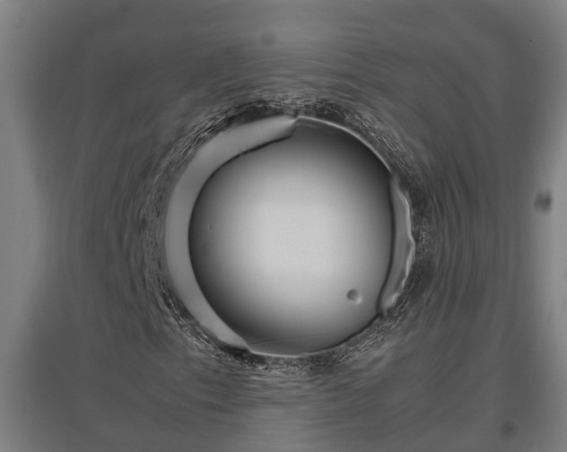 X0000095941153200801181354