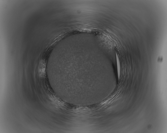 X0000095941154200801181354