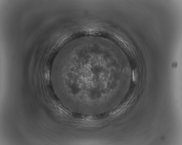 X0000095941155200801181354