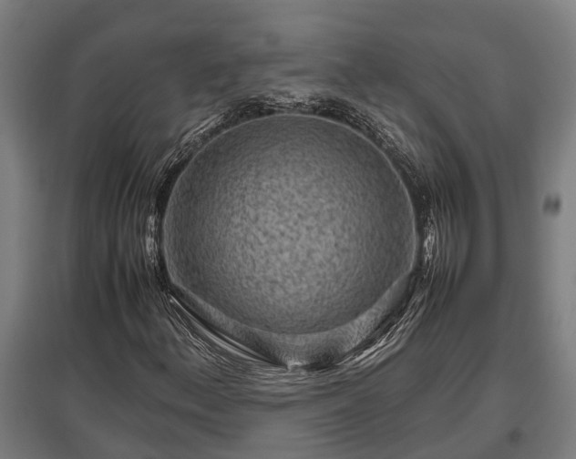 X0000095941156200801181354