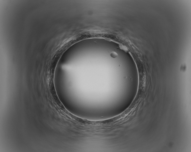 X0000095941157200801181354