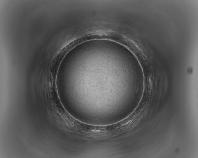 X0000095941158200801181354