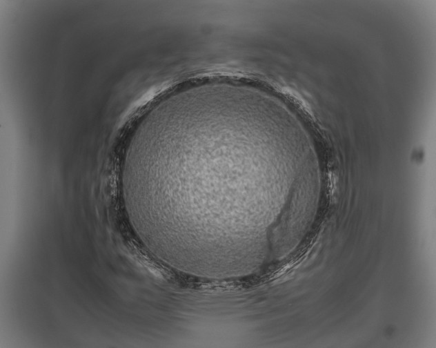 X0000095941159200801181354
